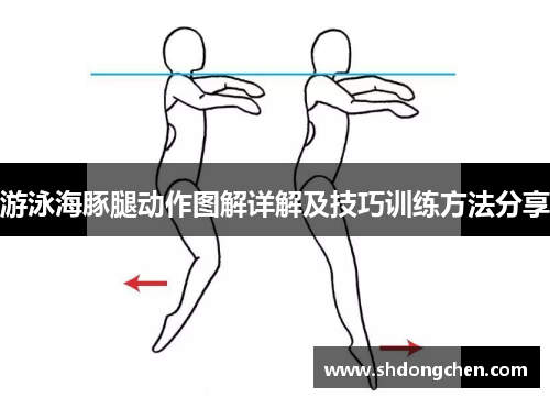 游泳海豚腿动作图解详解及技巧训练方法分享